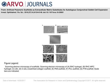 From: Artificial Polymeric Scaffolds as Extracellular Matrix Substitutes for Autologous Conjunctival Goblet Cell Expansion Invest. Ophthalmol. Vis. Sci..