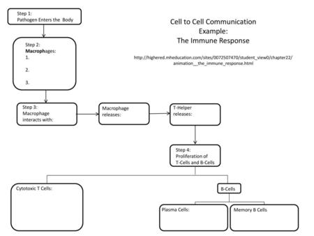 Cell to Cell Communication