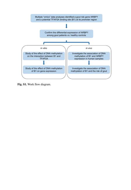 Fig. S1. Work flow diagram..