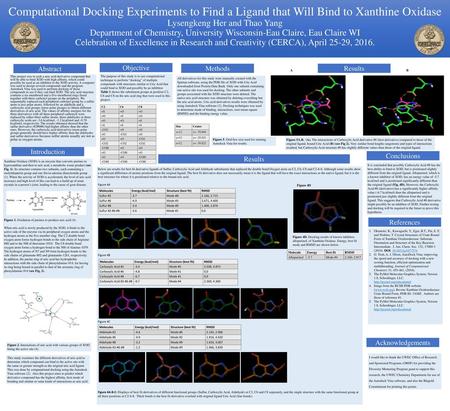 Computational Docking Experiments to Find a Ligand that Will Bind to Xanthine Oxidase Lysengkeng Her and Thao Yang Department of Chemistry, University.