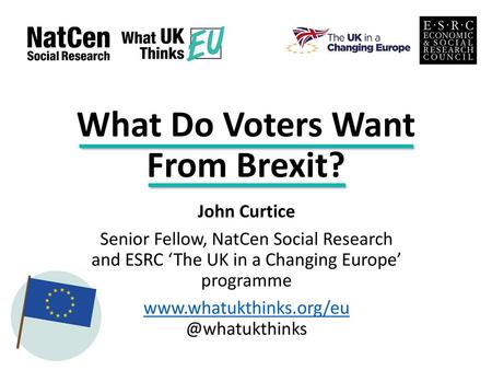 What Do Voters Want From Brexit?