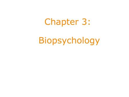 Chapter 3: Biopsychology