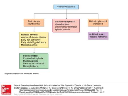 Diagnostic algorithm for normocytic anemia.