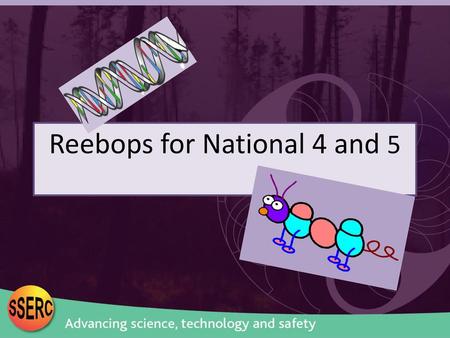 Reebops for National 4 and 5