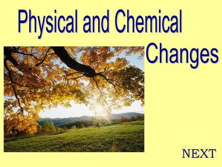 Physical and Chemical Changes NEXT.