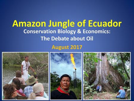 Amazon Jungle of Ecuador