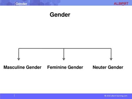 Gender Masculine Gender Feminine Gender Neuter Gender.