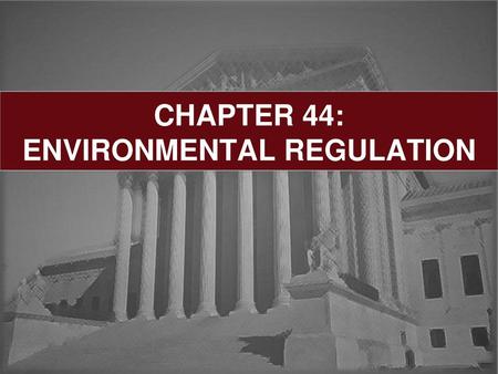 CHAPTER 44: ENVIRONMENTAL REGULATION