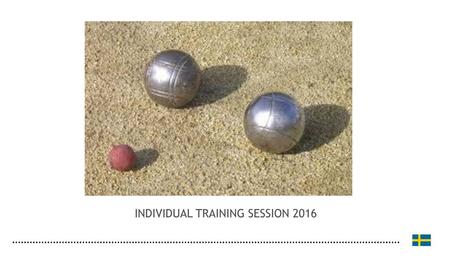 INDIVIDUAL TRAINING SESSION 2016