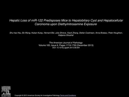 Hepatic Loss of miR-122 Predisposes Mice to Hepatobiliary Cyst and Hepatocellular Carcinoma upon Diethylnitrosamine Exposure  Shu-hao Hsu, Bo Wang, Huban.