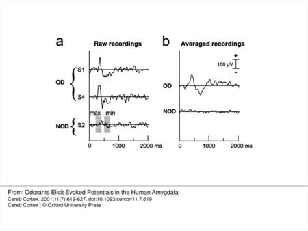 From: Odorants Elicit Evoked Potentials in the Human Amygdala