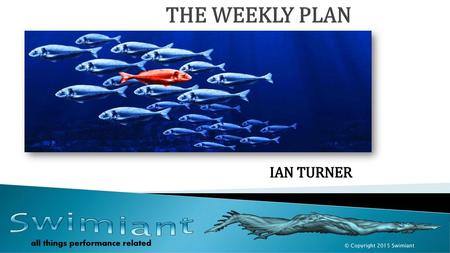 THE WEEKLY PLAN IAN TURNER.