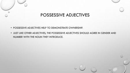 Possessive Adjectives