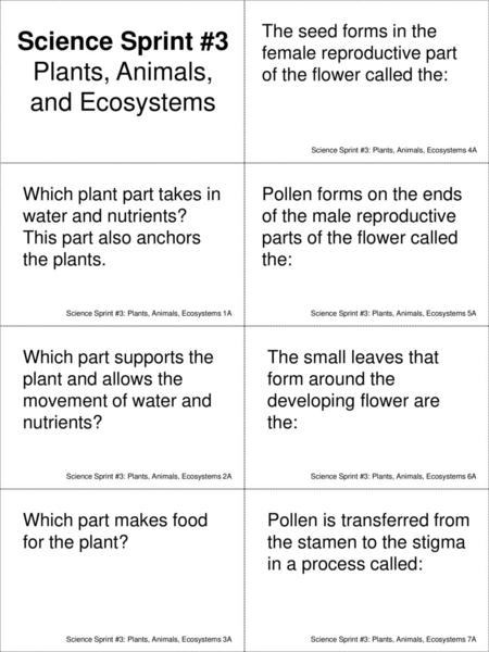 Plants, Animals, and Ecosystems