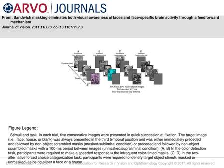 From: Sandwich masking eliminates both visual awareness of faces and face-specific brain activity through a feedforward mechanism Journal of Vision. 2011;11(7):3.