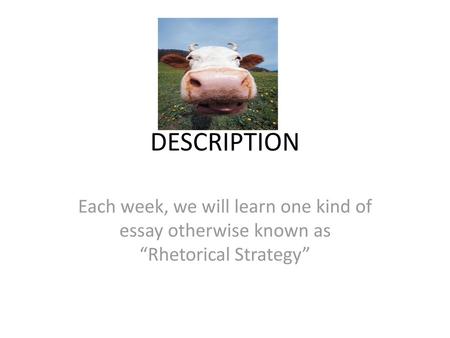 DESCRIPTION Each week, we will learn one kind of essay otherwise known as “Rhetorical Strategy”