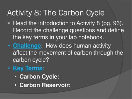 Activity 8: The Carbon Cycle