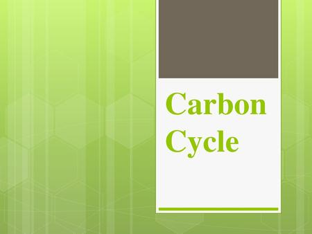 Carbon Cycle.