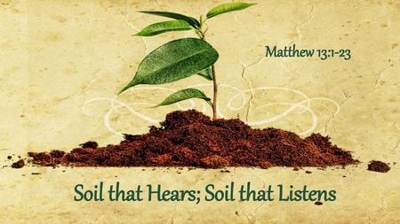 Soil that Hears; Soil that Listens