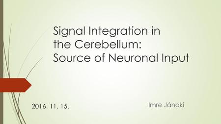 Signal Integration in the Cerebellum: Source of Neuronal Input