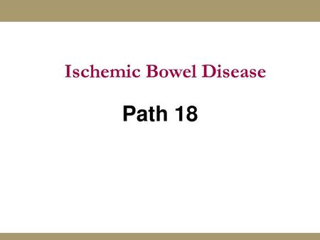 Ischemic Bowel Disease