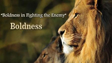 “Boldness in Fighting the Enemy”