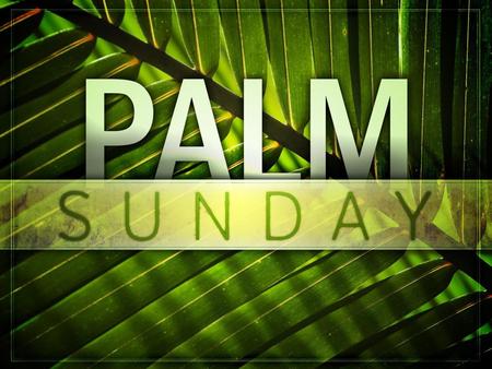 “Palm Sunday” Passages: