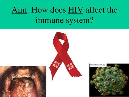 Aim: How does HIV affect the immune system?