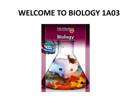 WELCOME TO BIOLOGY 1A03.