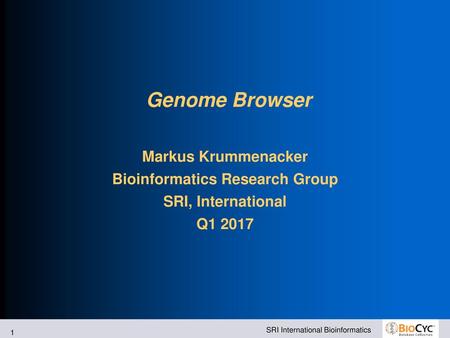 Bioinformatics Research Group