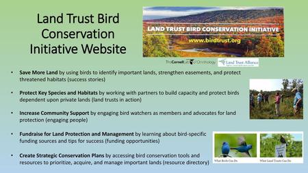 Land Trust Bird Conservation Initiative Website