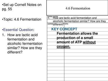 Set up Cornell Notes on pg. 55