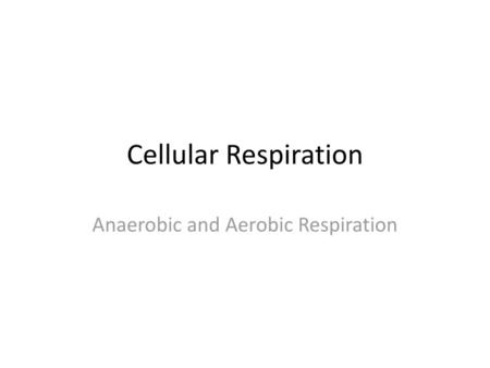 Anaerobic and Aerobic Respiration