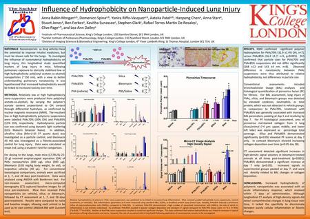 Influence of Hydrophobicity on Nanoparticle-Induced Lung Injury