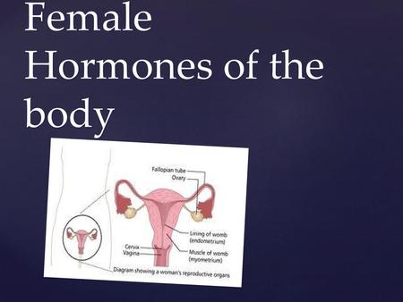 Female Hormones of the body