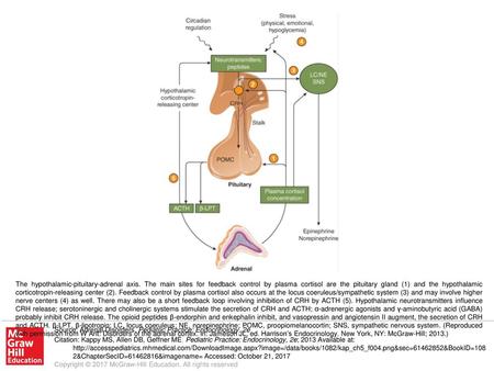 The hypothalamic-pituitary-adrenal axis