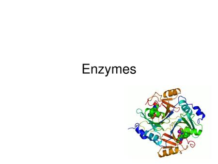 Enzymes.