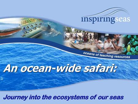 An ocean-wide safari: Journey into the ecosystems of our seas.