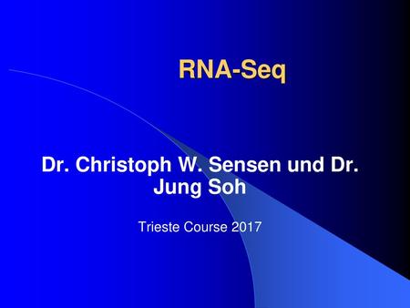 Dr. Christoph W. Sensen und Dr. Jung Soh Trieste Course 2017