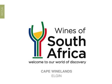 CAPE WINELANDS ELGIN.