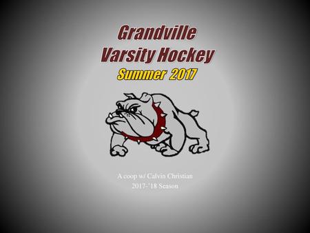 Grandville Varsity Hockey Summer 2017