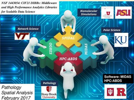 Pathology Spatial Analysis February 2017