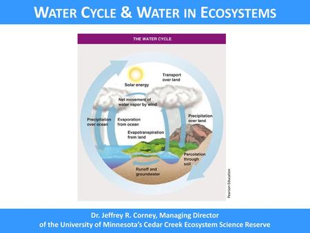 Water Cycle & Water in Ecosystems