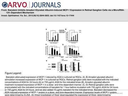 From: Baicalein Inhibits Amadori-Glycated Albumin-Induced MCP-1 Expression in Retinal Ganglion Cells via a MicroRNA-124–Dependent Mechanism Invest. Ophthalmol.