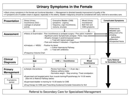 Urinary Symptoms in the Female