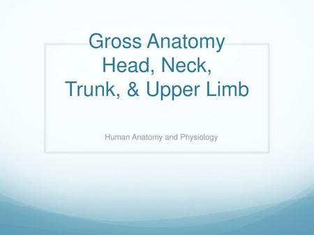 Gross Anatomy Head, Neck, Trunk, & Upper Limb