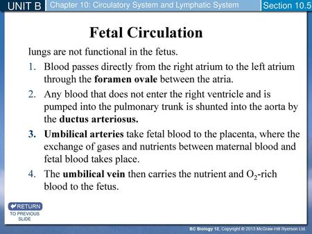 Fetal Circulation UNIT B lungs are not functional in the fetus.