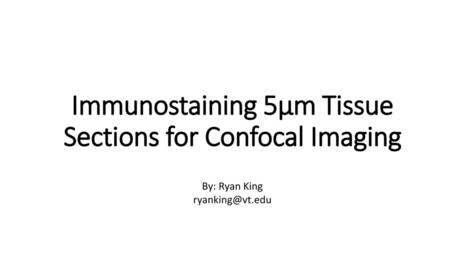 Immunostaining 5μm Tissue Sections for Confocal Imaging