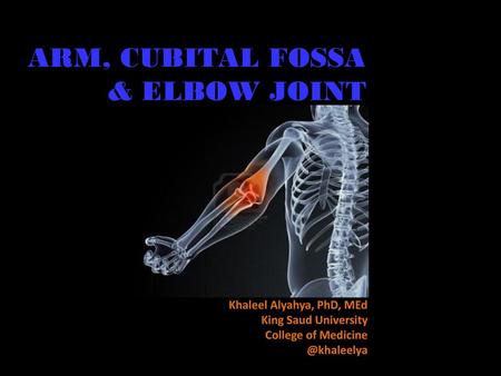 ARM, CUBITAL FOSSA & ELBOW JOINT Khaleel Alyahya, PhD, MEd