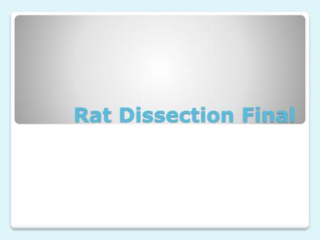 Rat Dissection Final.